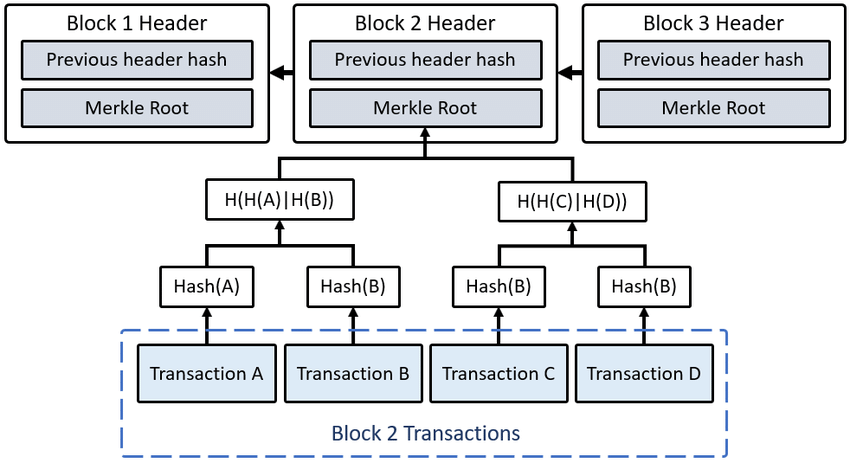 Cấu trúc dữ liệu phần body của mỗi block trong Blockchain
